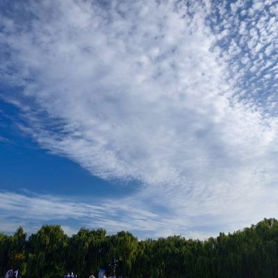 偶像活动手游中文版下载